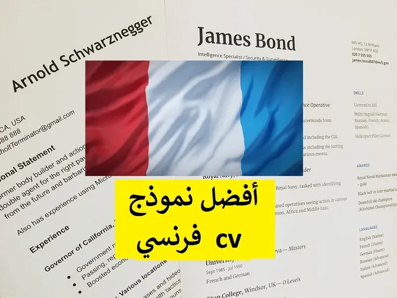 نموذج سيرة ذاتية باللغة الفرنسية + تحميل ملف وورد cv فرنسي قابل للتعديل